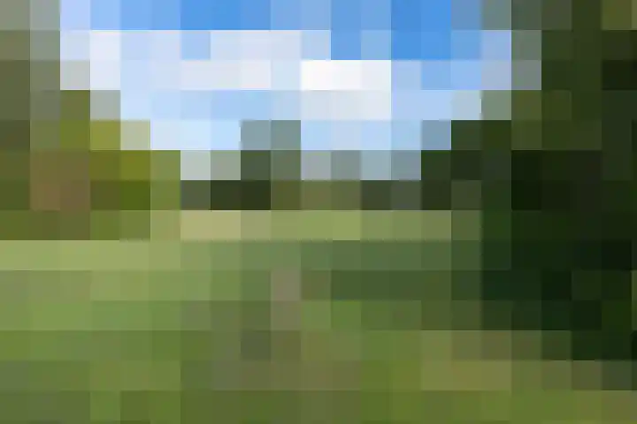 't Wuiver 30 Oudorp thumbnail 35