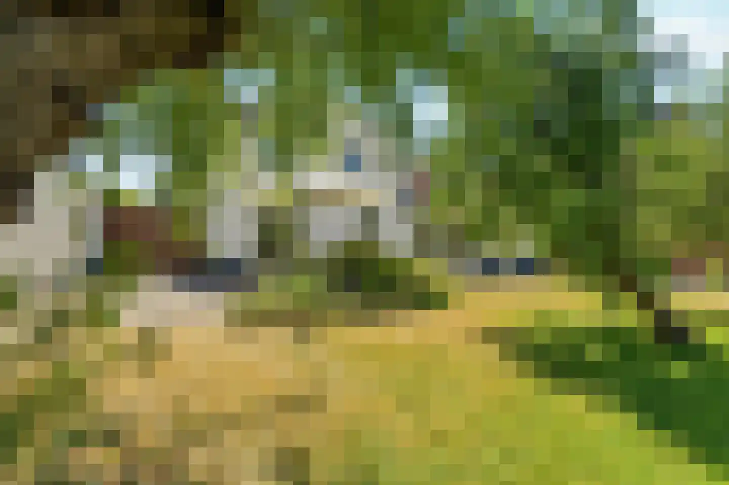 't Zand 12 Ottersum thumbnail 34