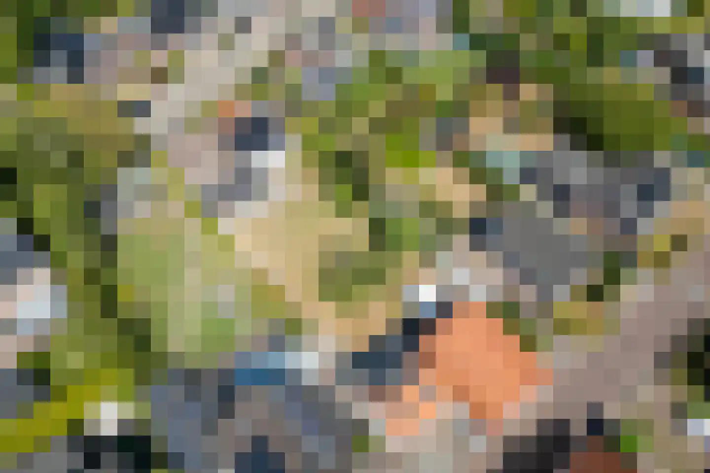 't Zand 12 Ottersum thumbnail 45