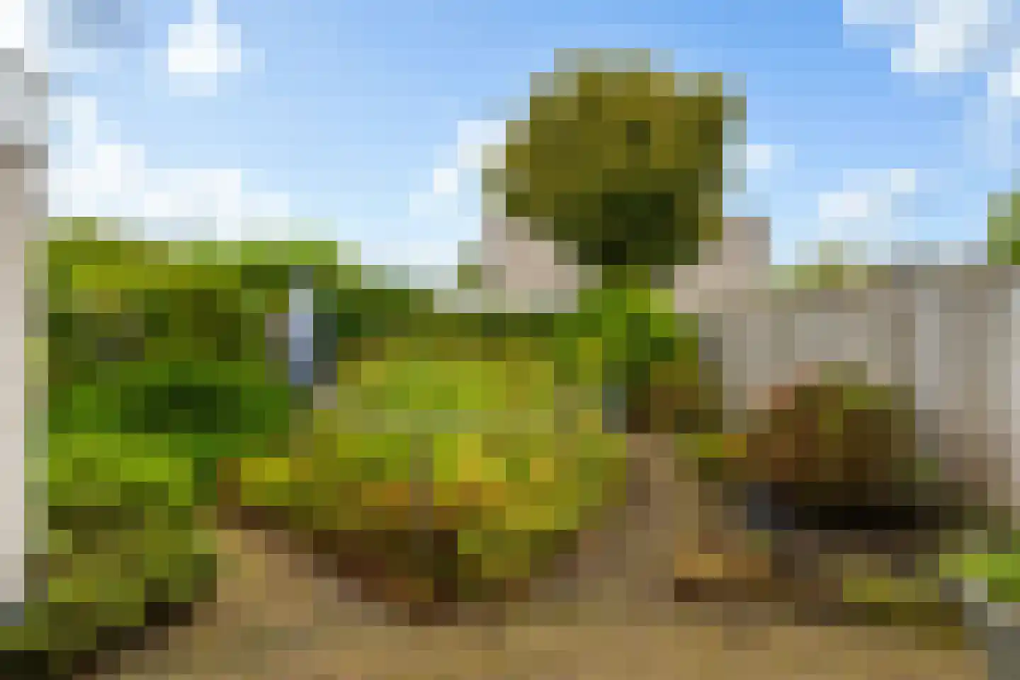 't Zand 14 Breda thumbnail 34
