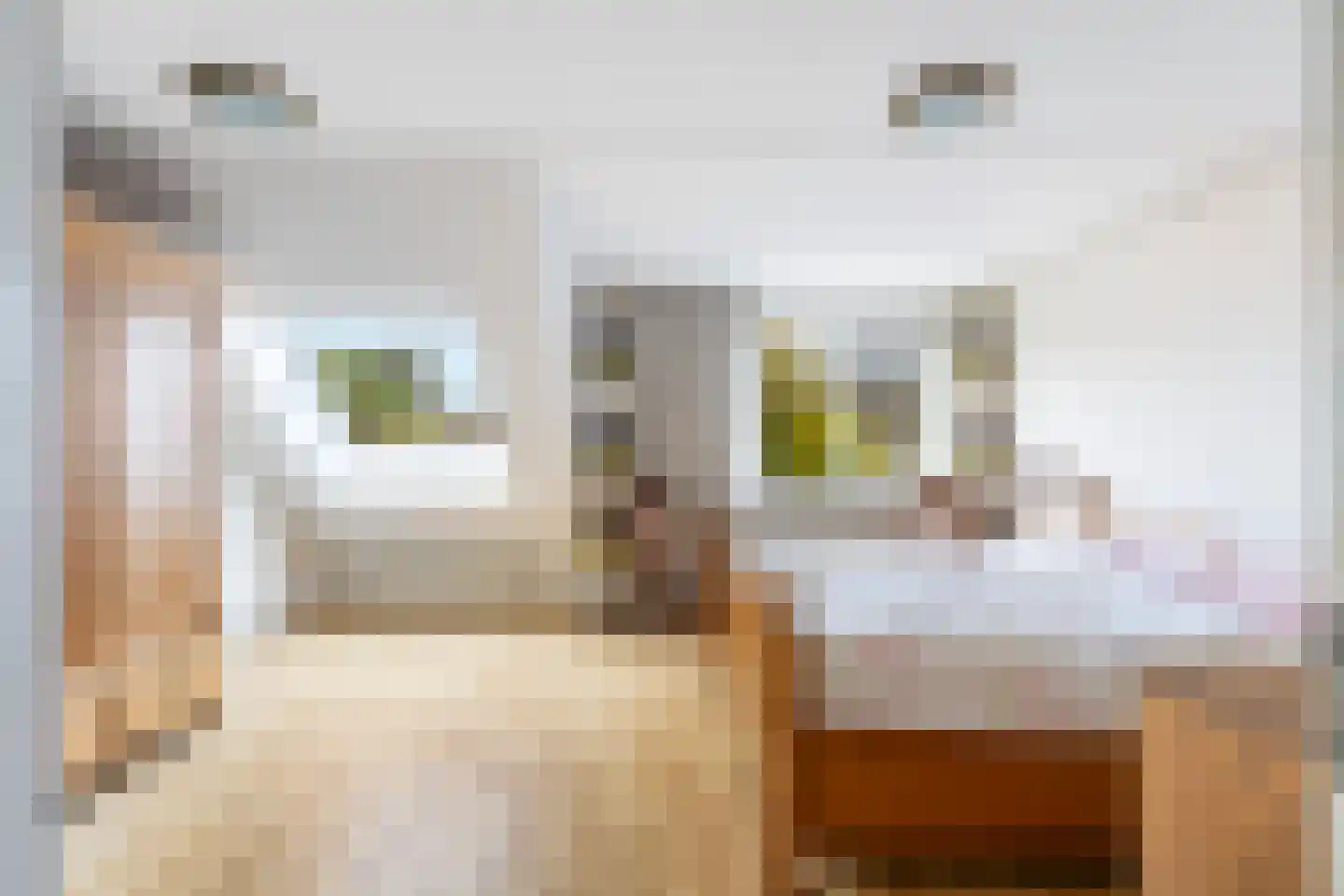 't Zand 14 Breda thumbnail 6
