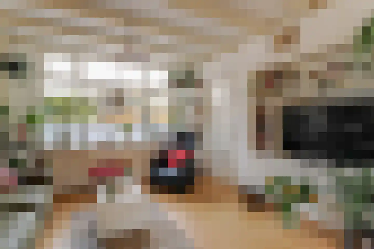't Zand 19 Enkhuizen thumbnail 22