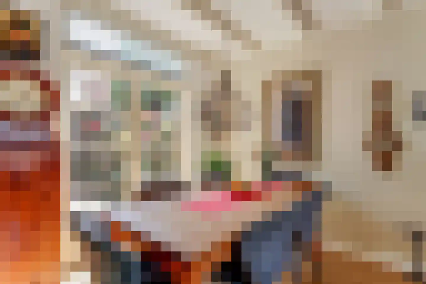 't Zand 19 Enkhuizen thumbnail 28