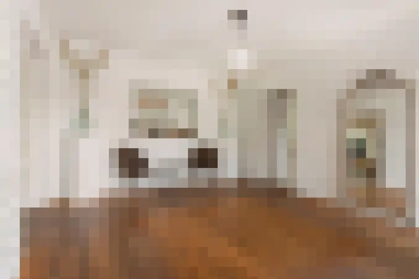 't Zand 29 Utrecht thumbnail 11