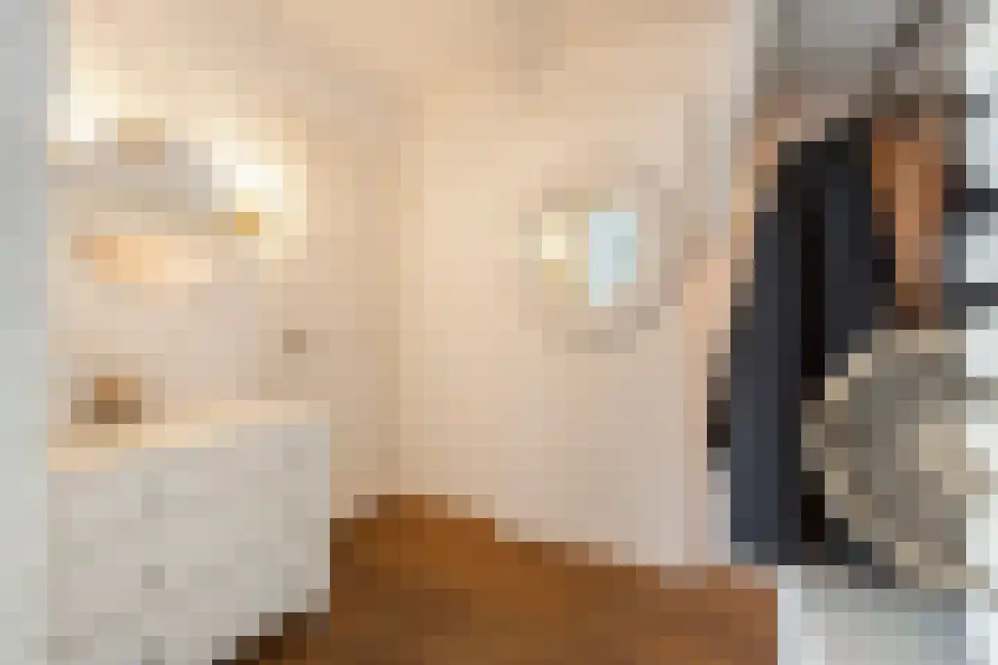 't Zand 29 Utrecht thumbnail 12