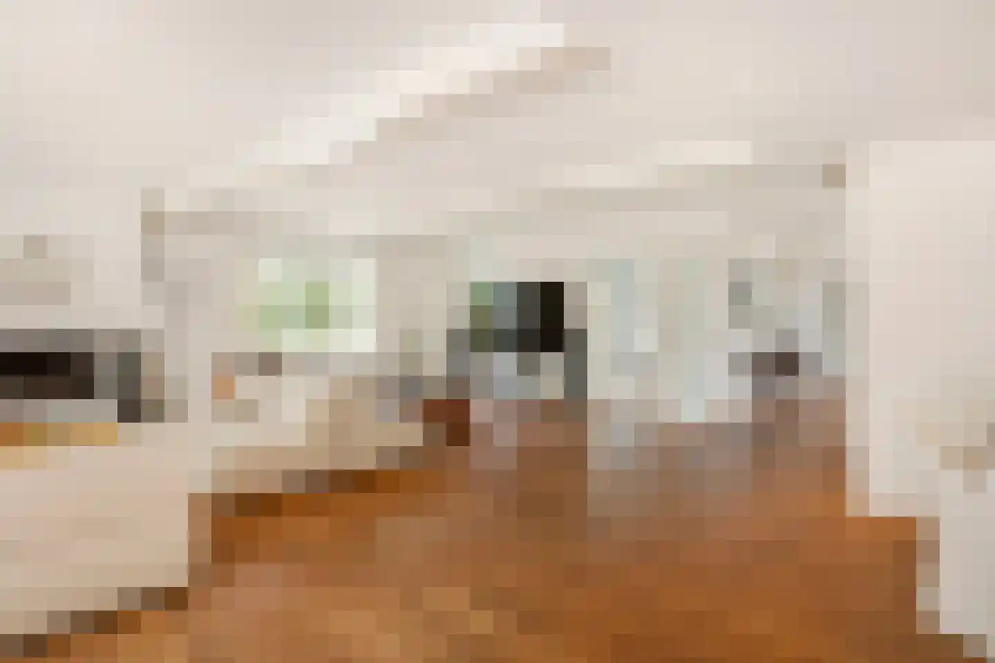 't Zand 29 Utrecht thumbnail 14