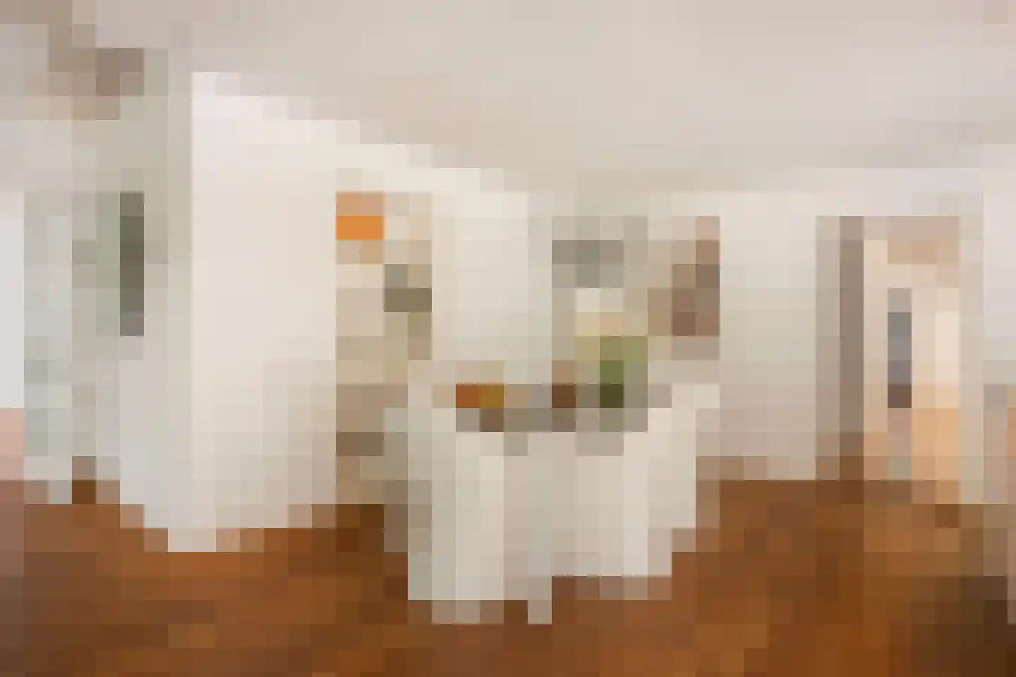 't Zand 29 Utrecht thumbnail 18
