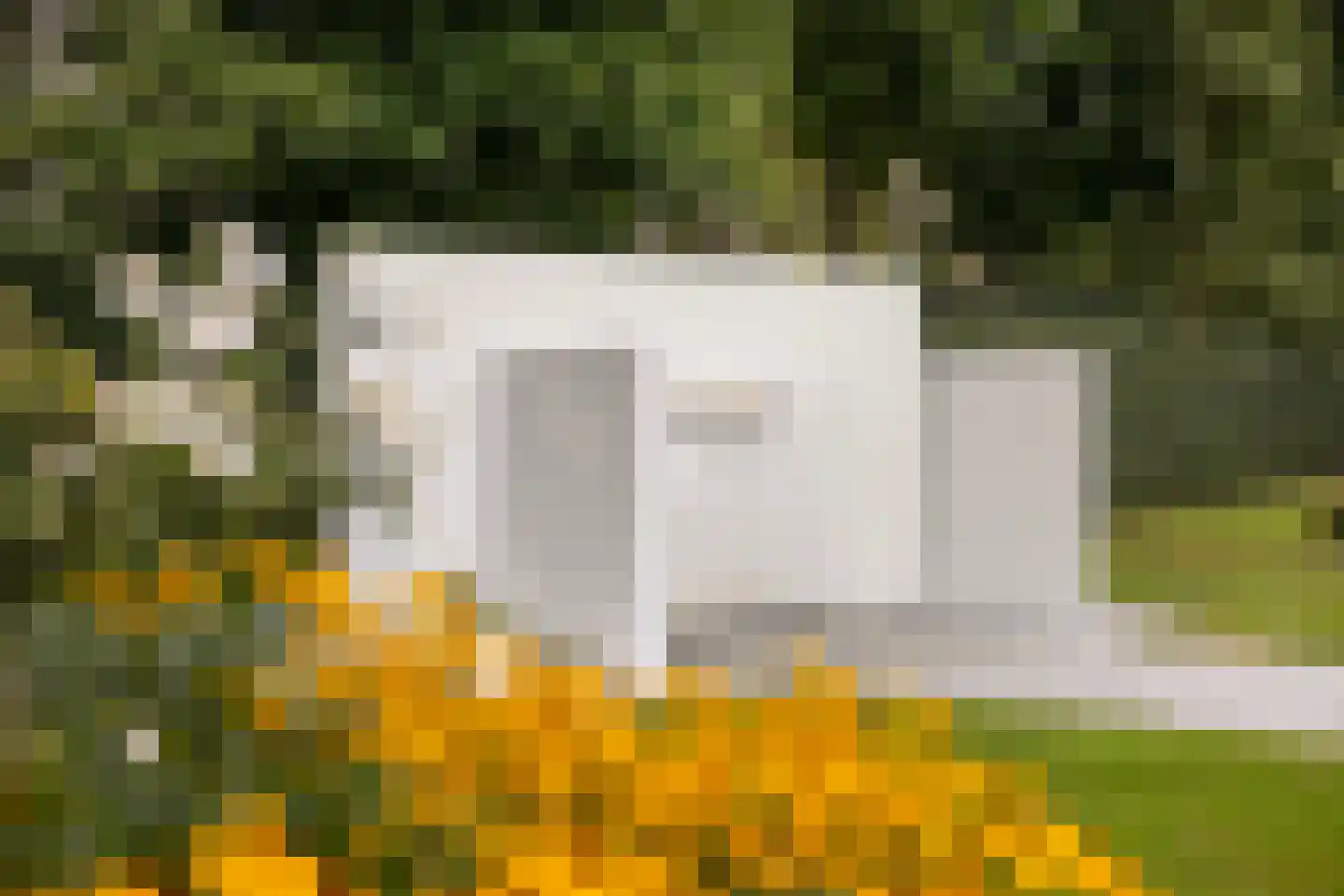 't Zand 29 Utrecht thumbnail 31