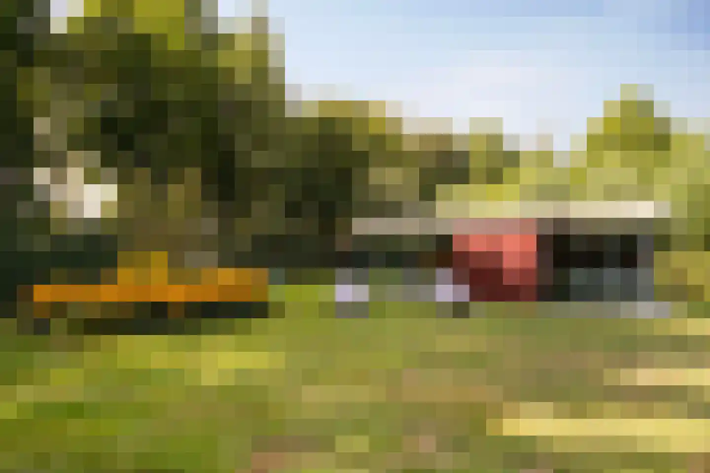 't Zand 29 Utrecht thumbnail 32