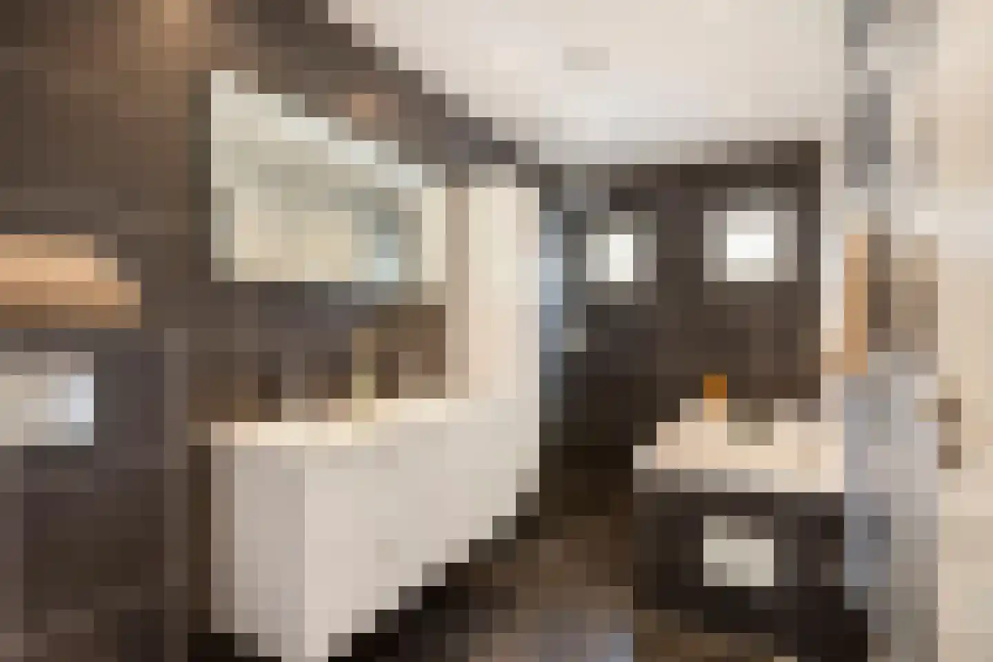 't Zand 29 Utrecht thumbnail 43