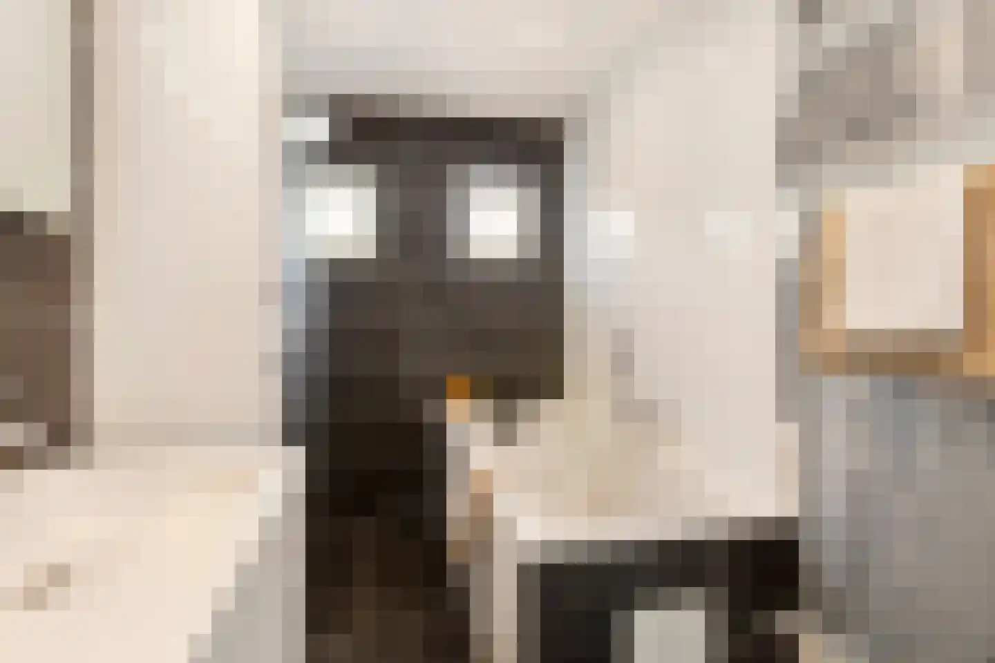 't Zand 29 Utrecht thumbnail 44