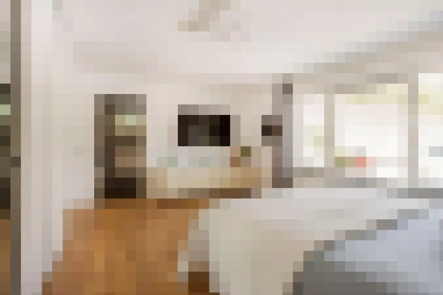 't Zand 29 Utrecht thumbnail 47