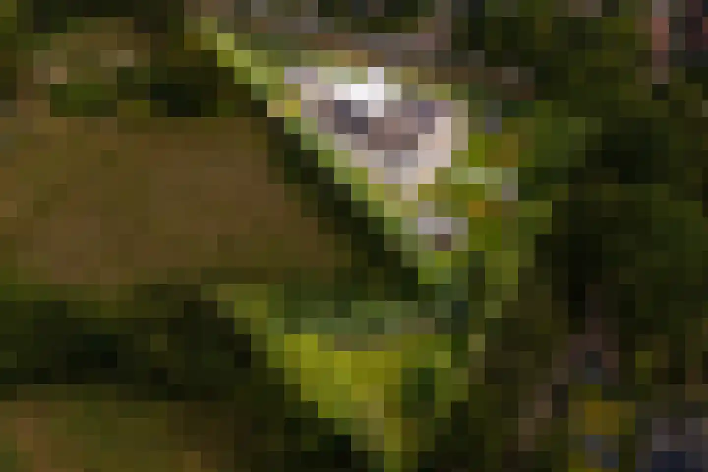 't Zand 29 Utrecht thumbnail 5