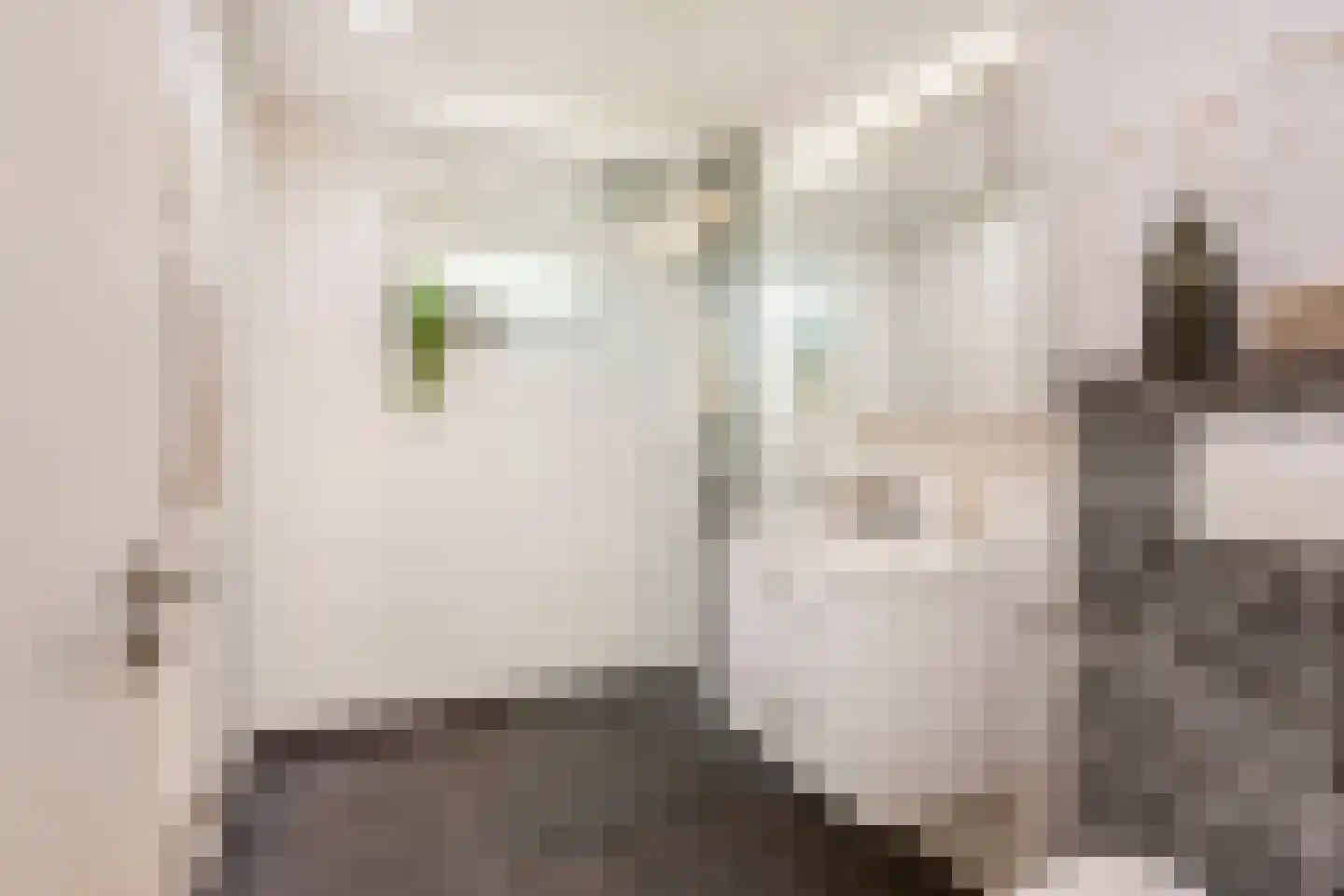 't Zand 29 Utrecht thumbnail 53