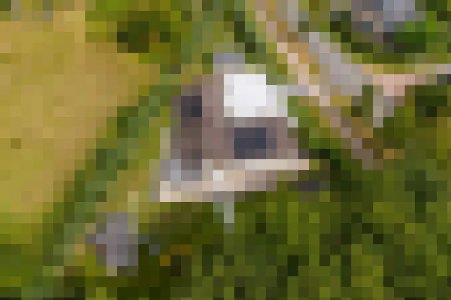 't Zand 29 Utrecht thumbnail 6