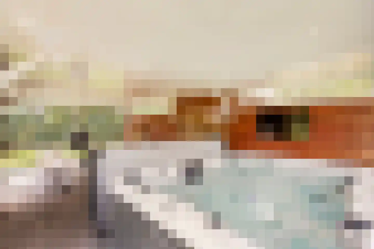 't Zand 29 Utrecht thumbnail 65