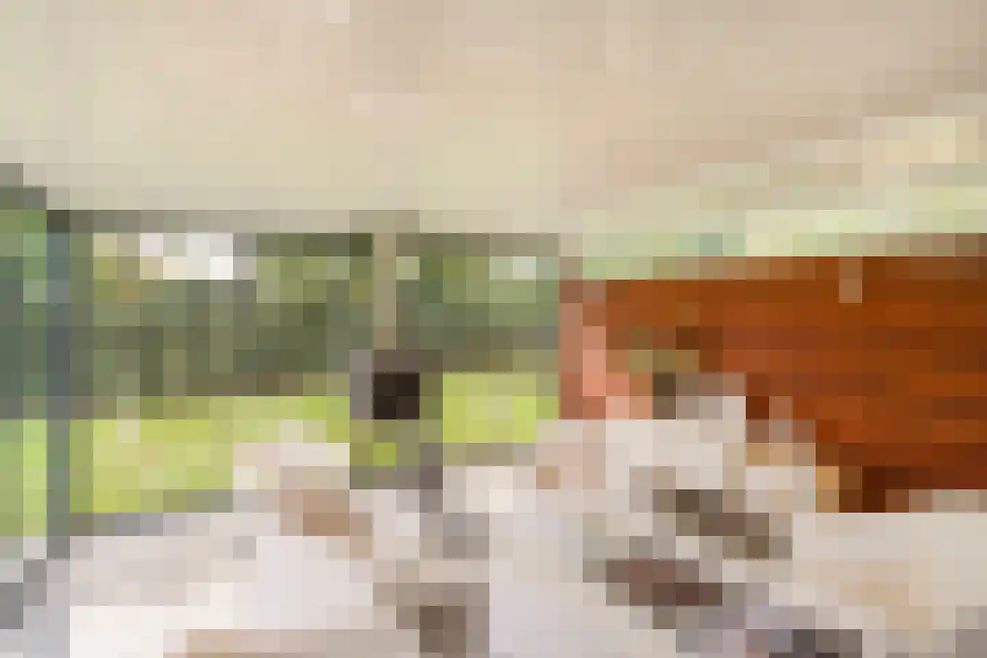 't Zand 29 Utrecht thumbnail 66