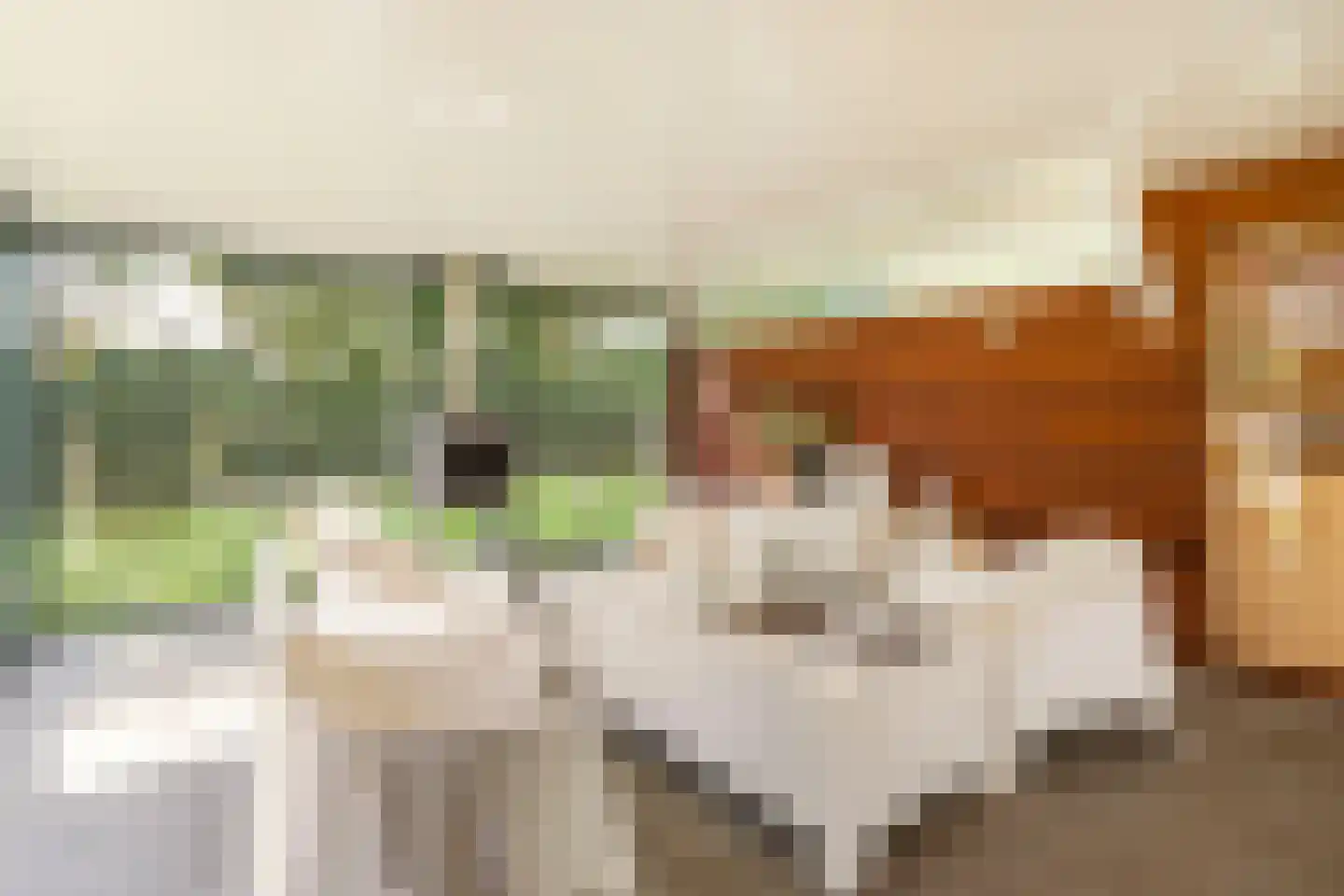 't Zand 29 Utrecht thumbnail 70