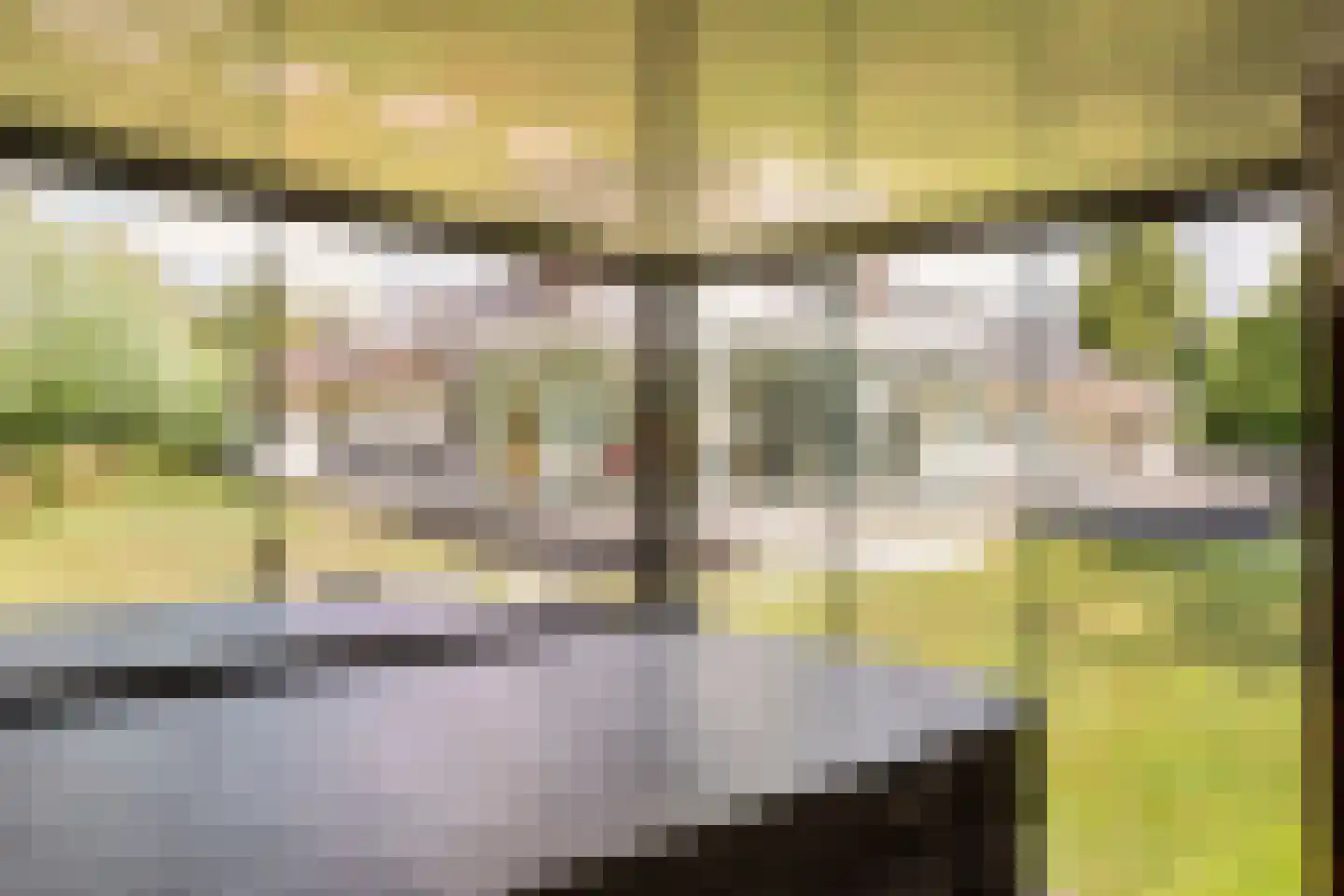 't Zand 29 Utrecht thumbnail 71