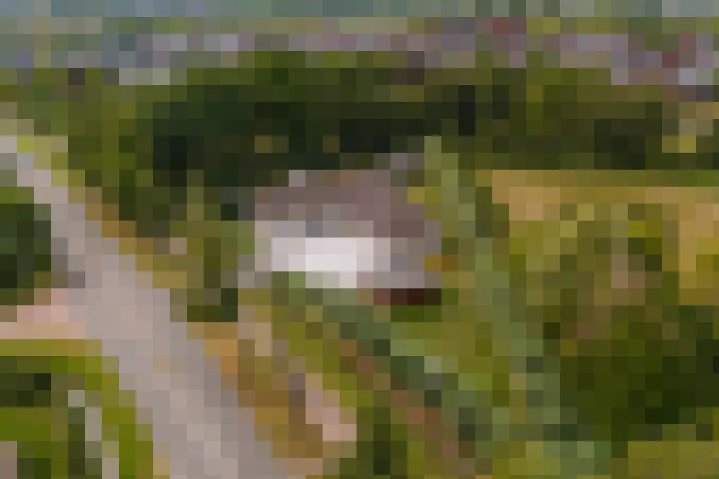 't Zand 29 Utrecht thumbnail 74