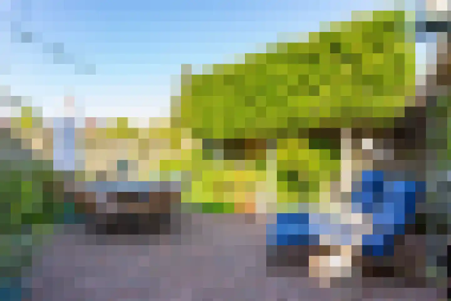 't Zand 3 Utrecht thumbnail 29