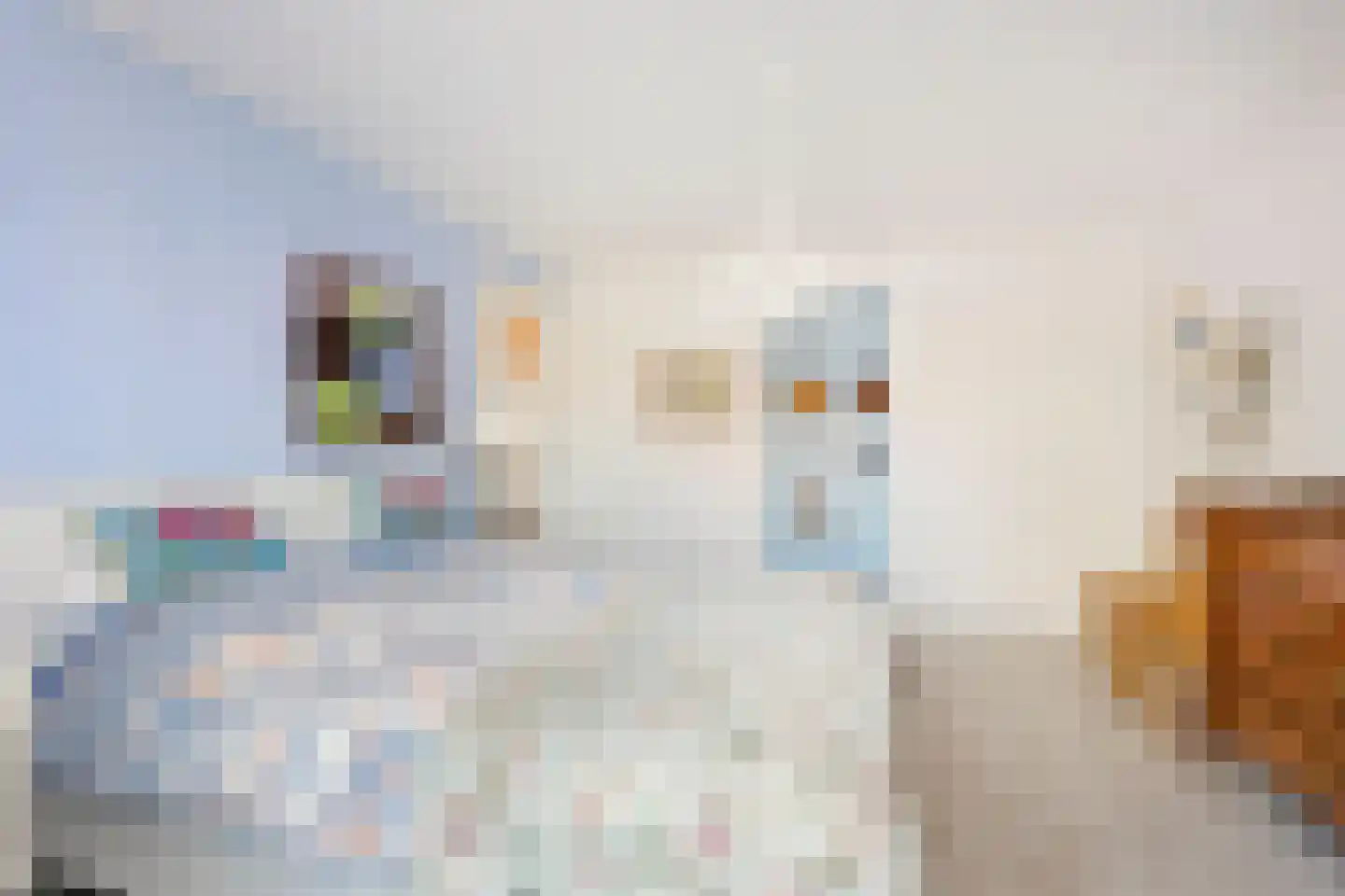 't Zand 3 Utrecht thumbnail 40