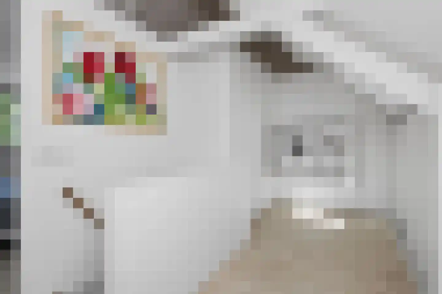 't Zand 3 Utrecht thumbnail 45