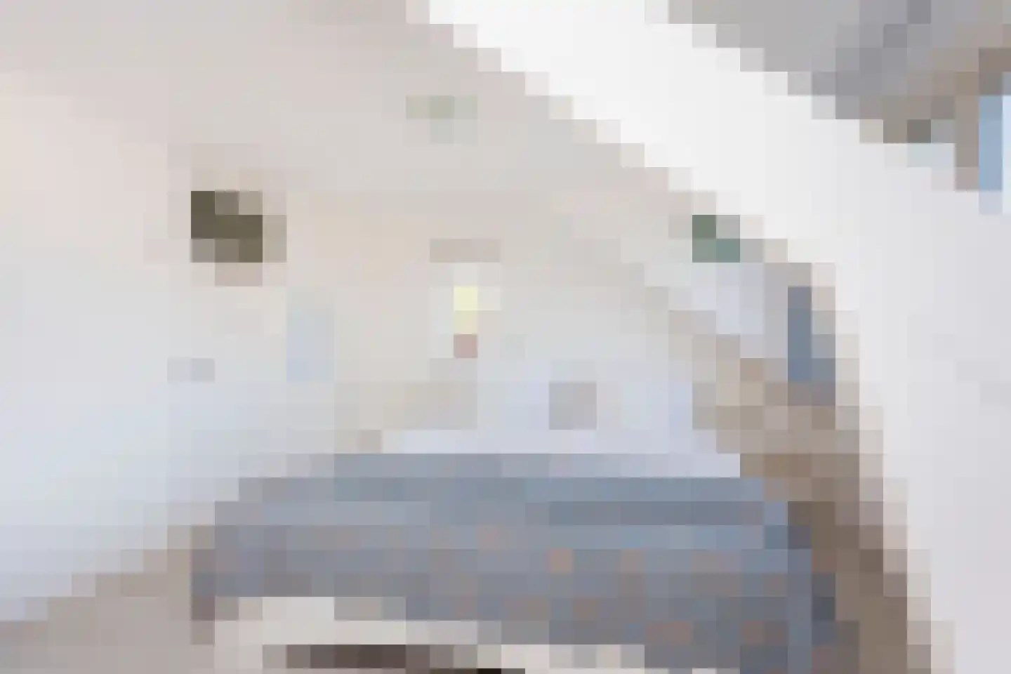 't Zand 3 Utrecht thumbnail 48