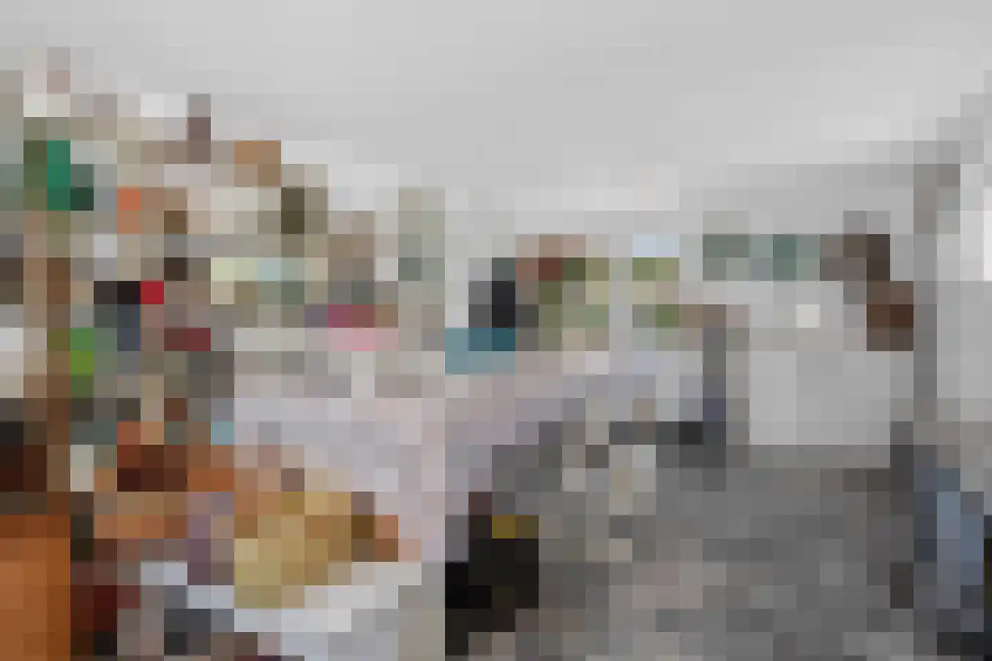't Zand 3 Utrecht thumbnail 55
