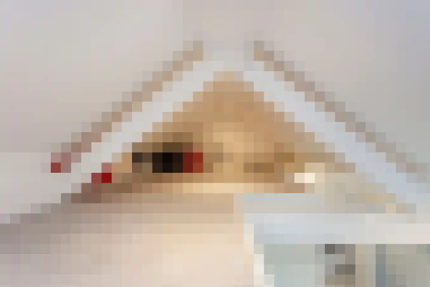 't Zand 3 Utrecht thumbnail 56