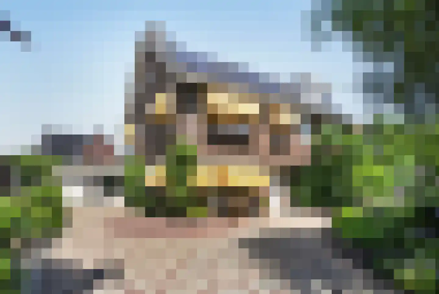 't Zand 3 Utrecht thumbnail 8