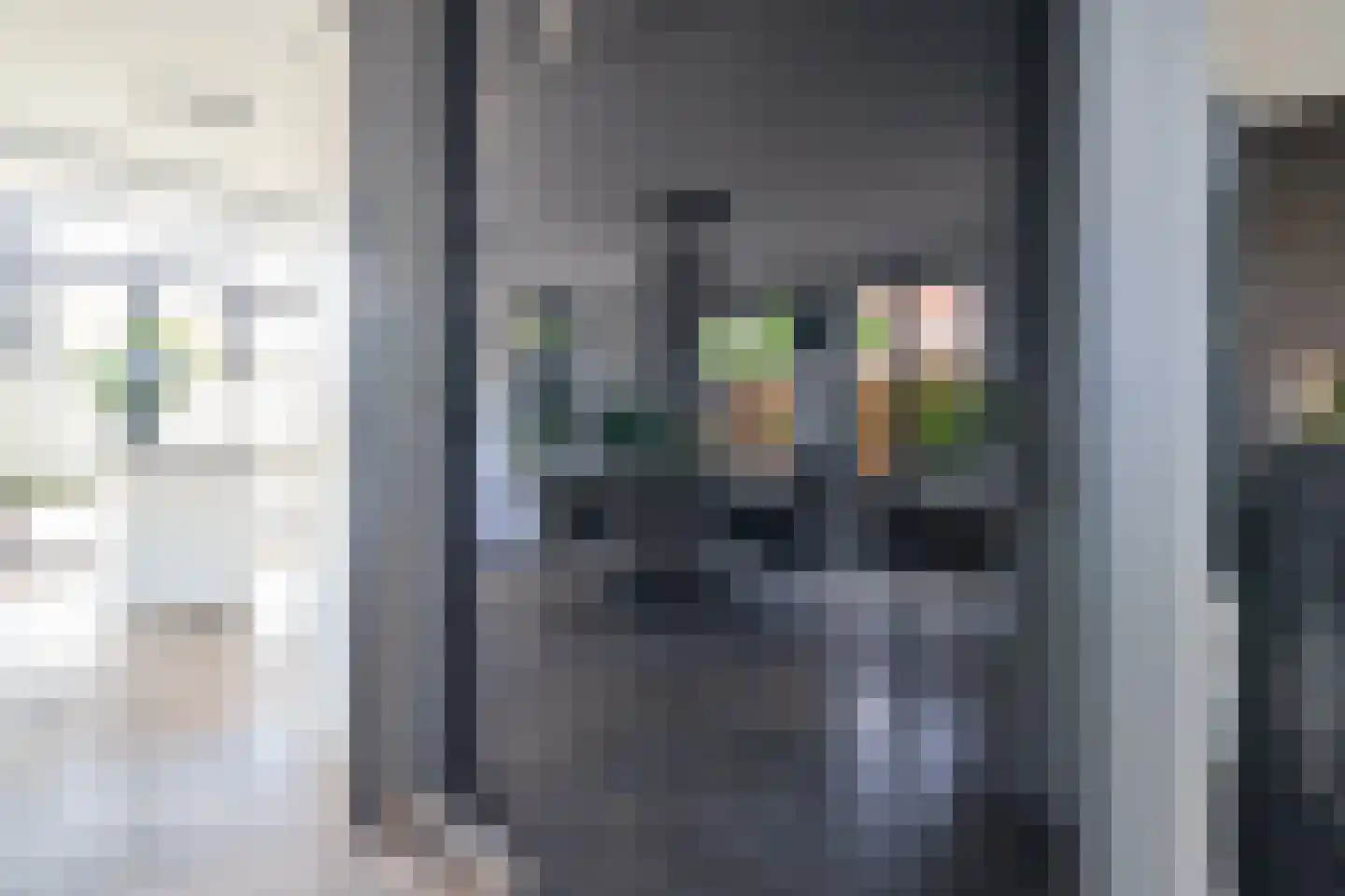 't Zand 41 Utrecht thumbnail 11