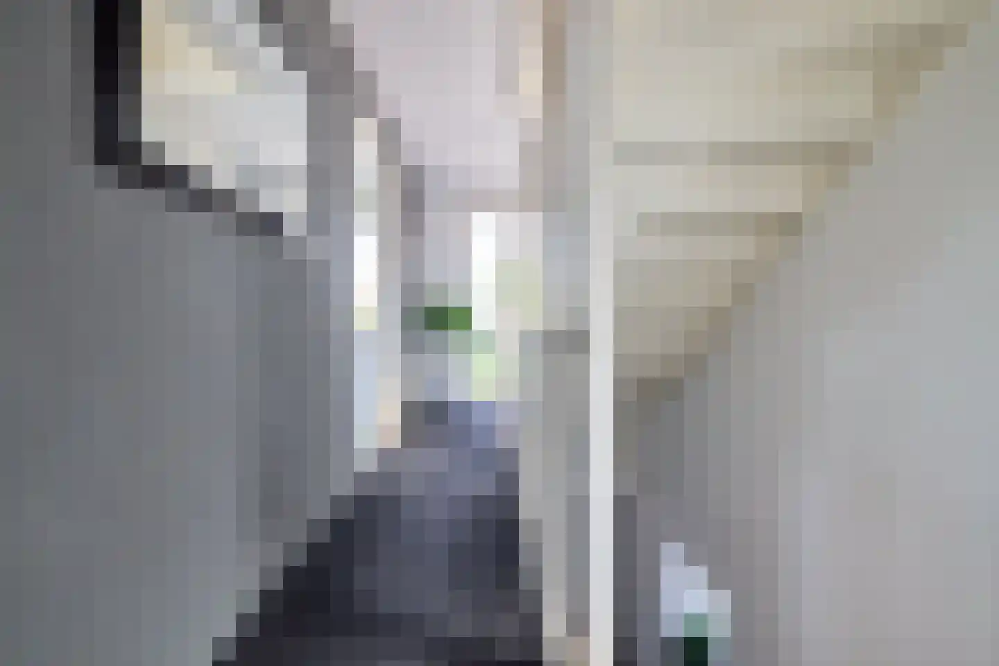 't Zand 41 Utrecht thumbnail 18