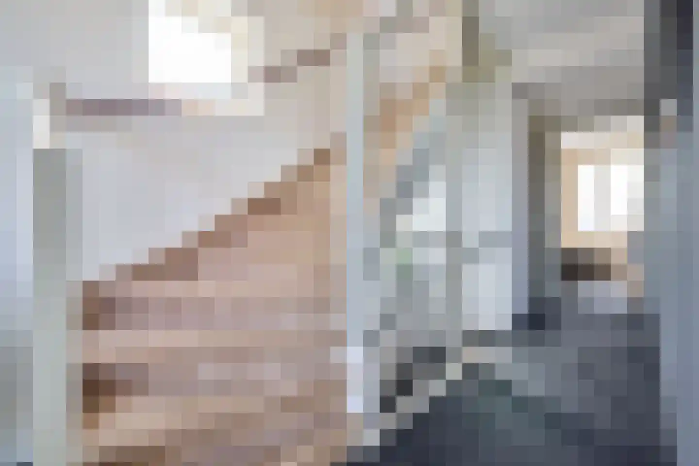 't Zand 41 Utrecht thumbnail 30