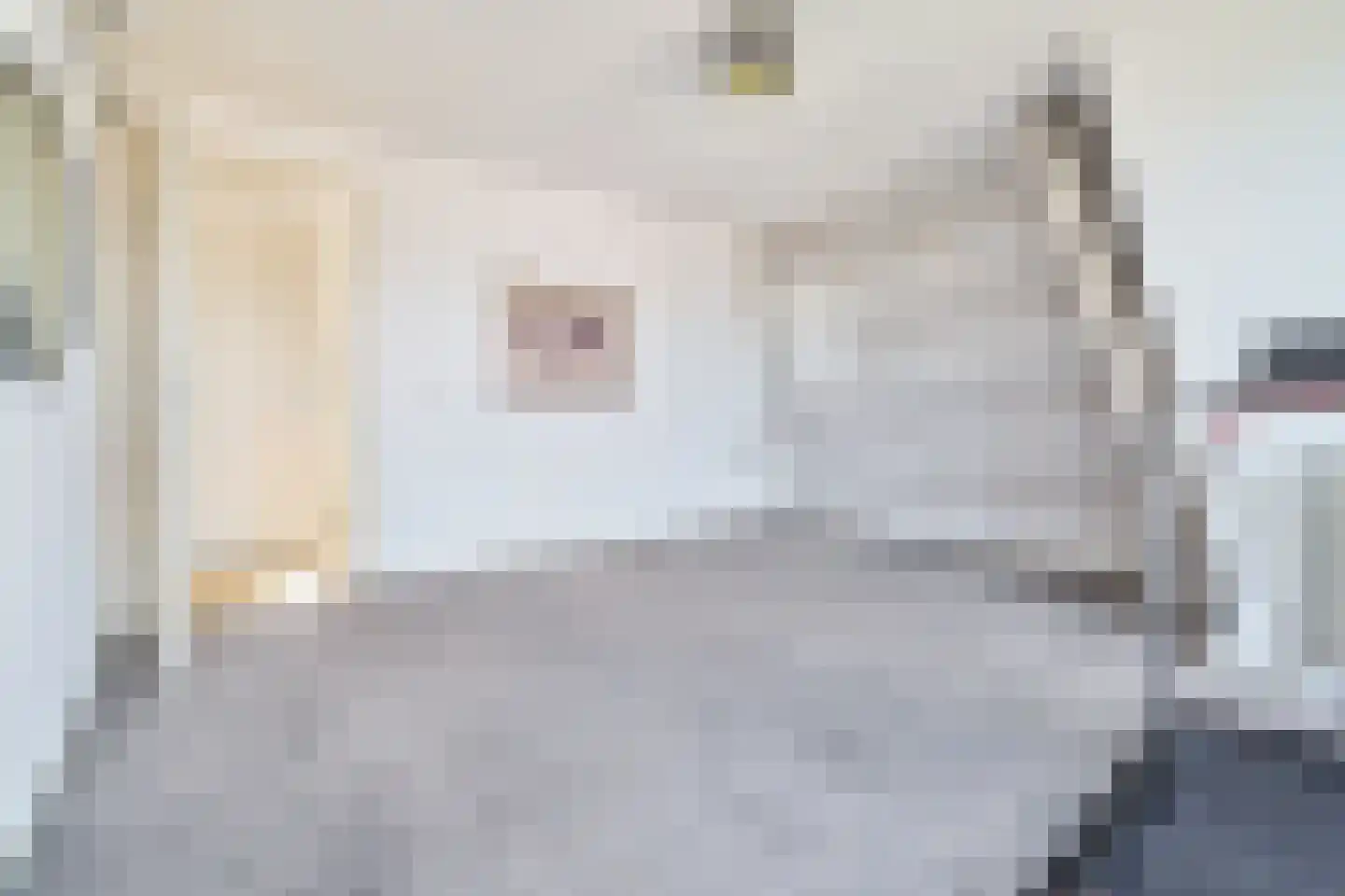 't Zand 41 Utrecht thumbnail 35