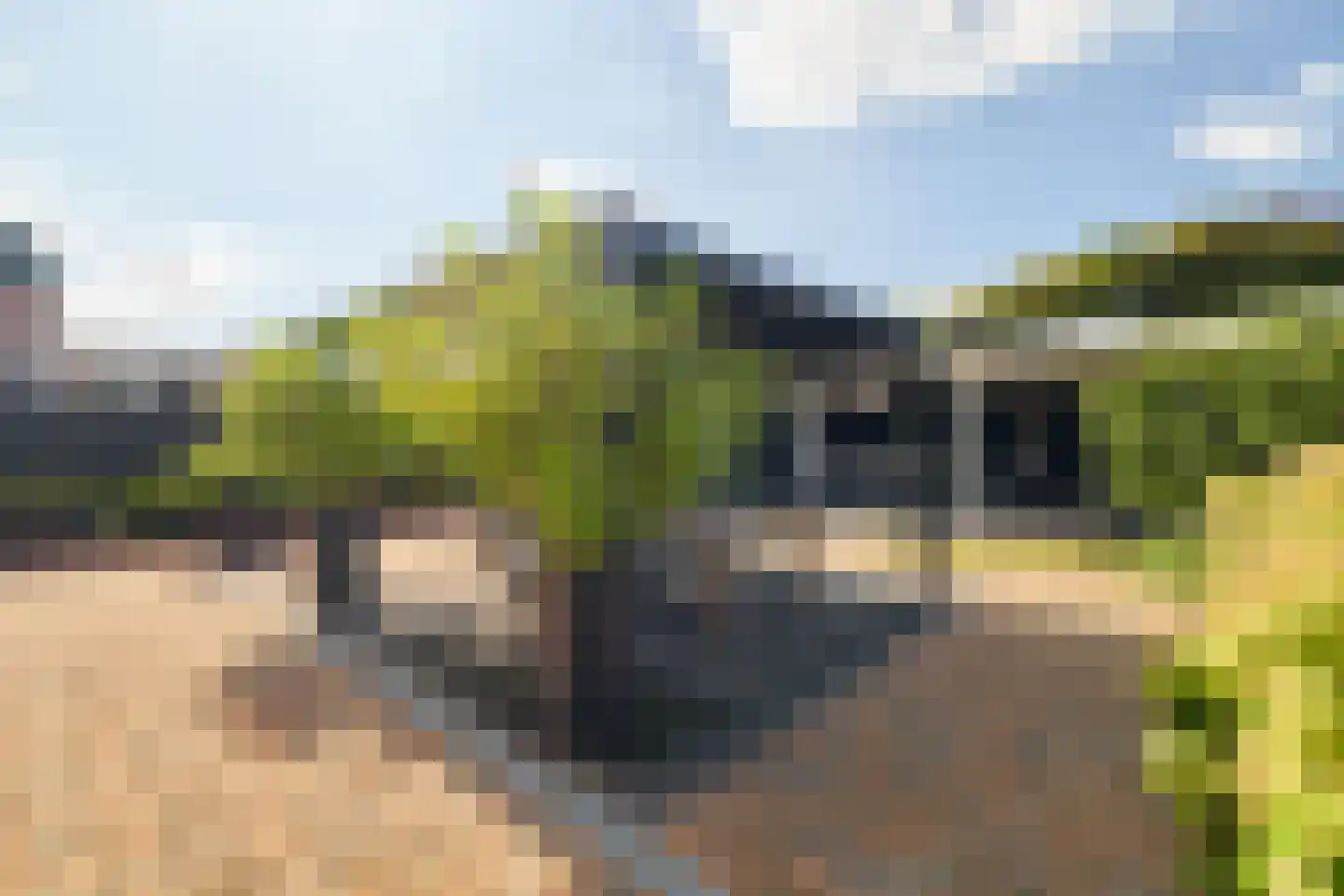 't Zand 41 Utrecht thumbnail 41