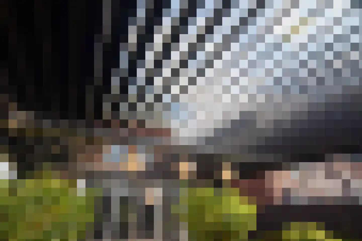 't Zand 41 Utrecht thumbnail 42