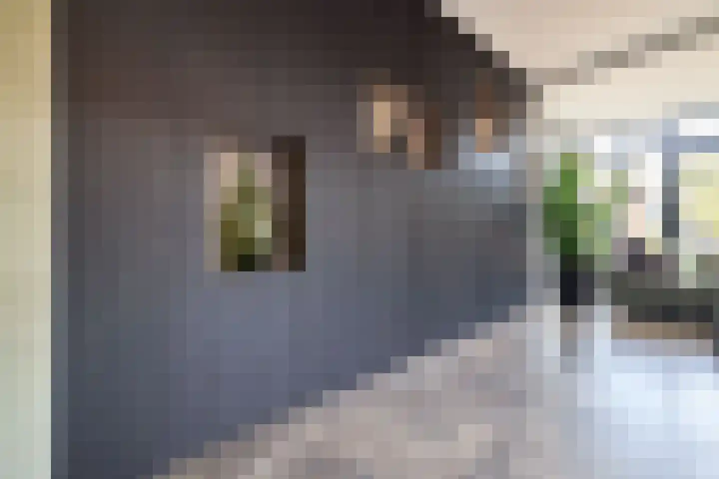 't Zand 41 Utrecht thumbnail 5