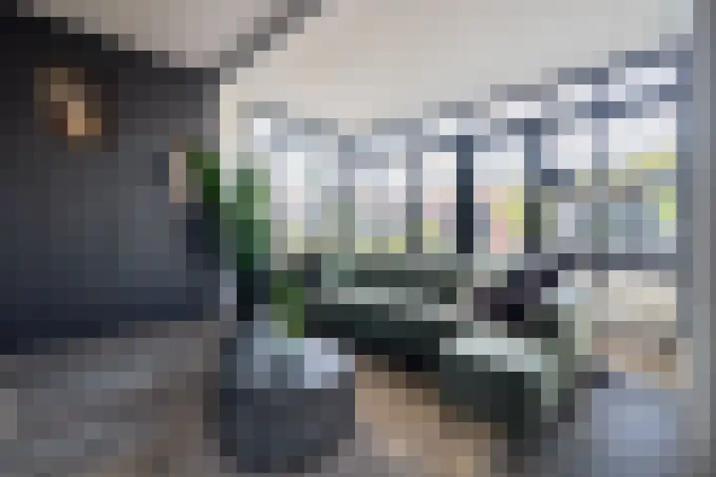 't Zand 41 Utrecht thumbnail 6