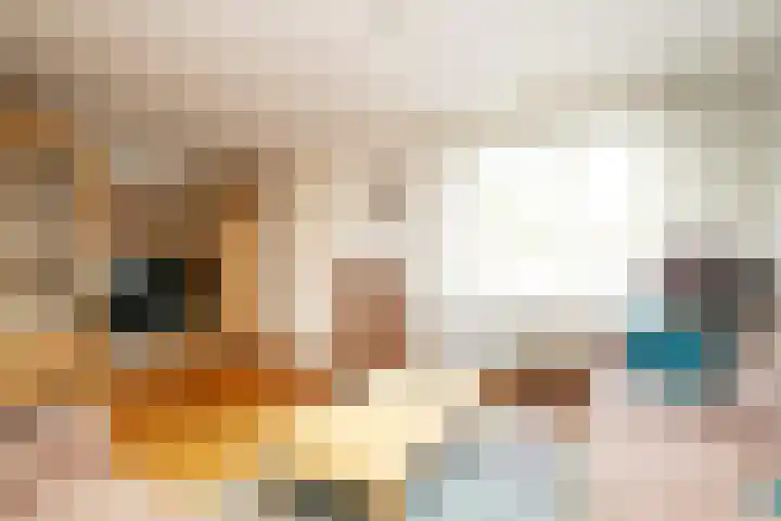 't Zand 48 Breda thumbnail 15