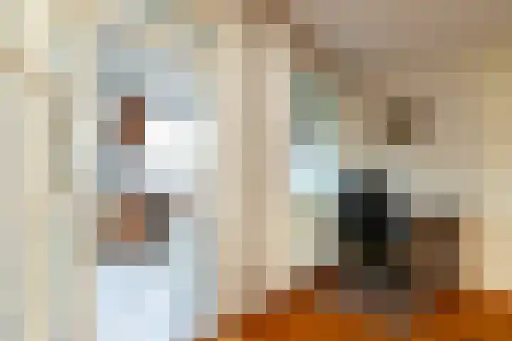't Zand 48 Breda thumbnail 19