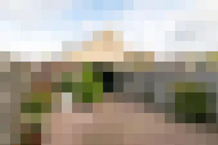 't Zand 48 Breda thumbnail 25