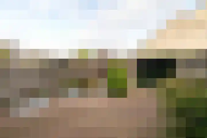 't Zand 48 Breda thumbnail 26