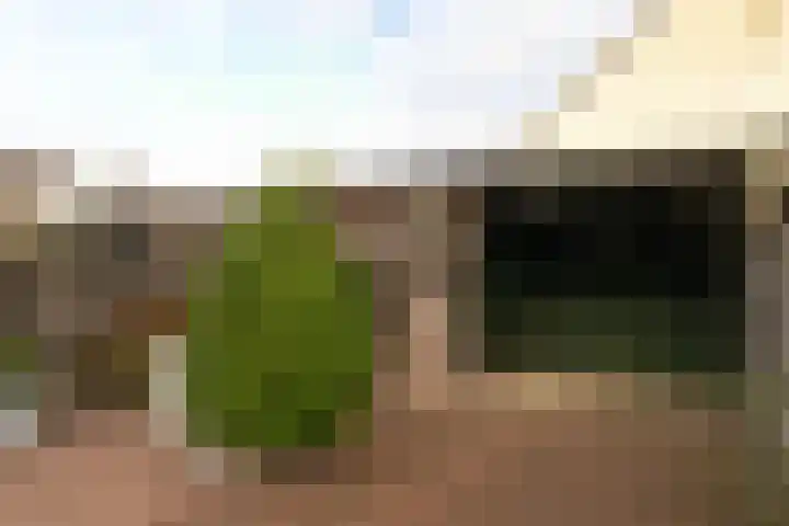't Zand 48 Breda thumbnail 27