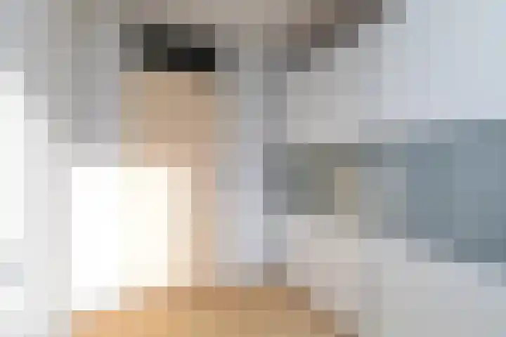 't Zand 48 Breda thumbnail 36