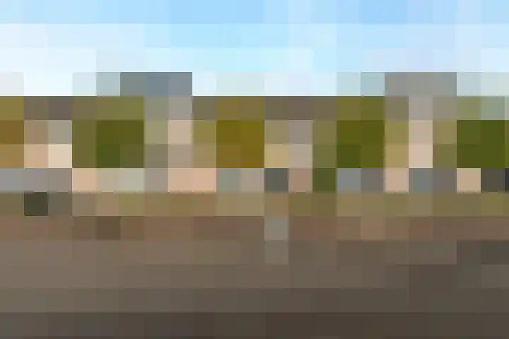 't Zand 48 Breda thumbnail 49