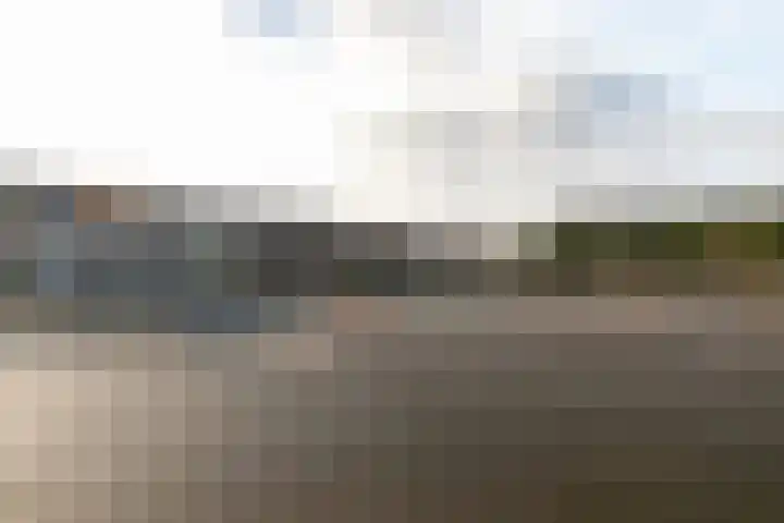 't Zand 48 Breda thumbnail 52