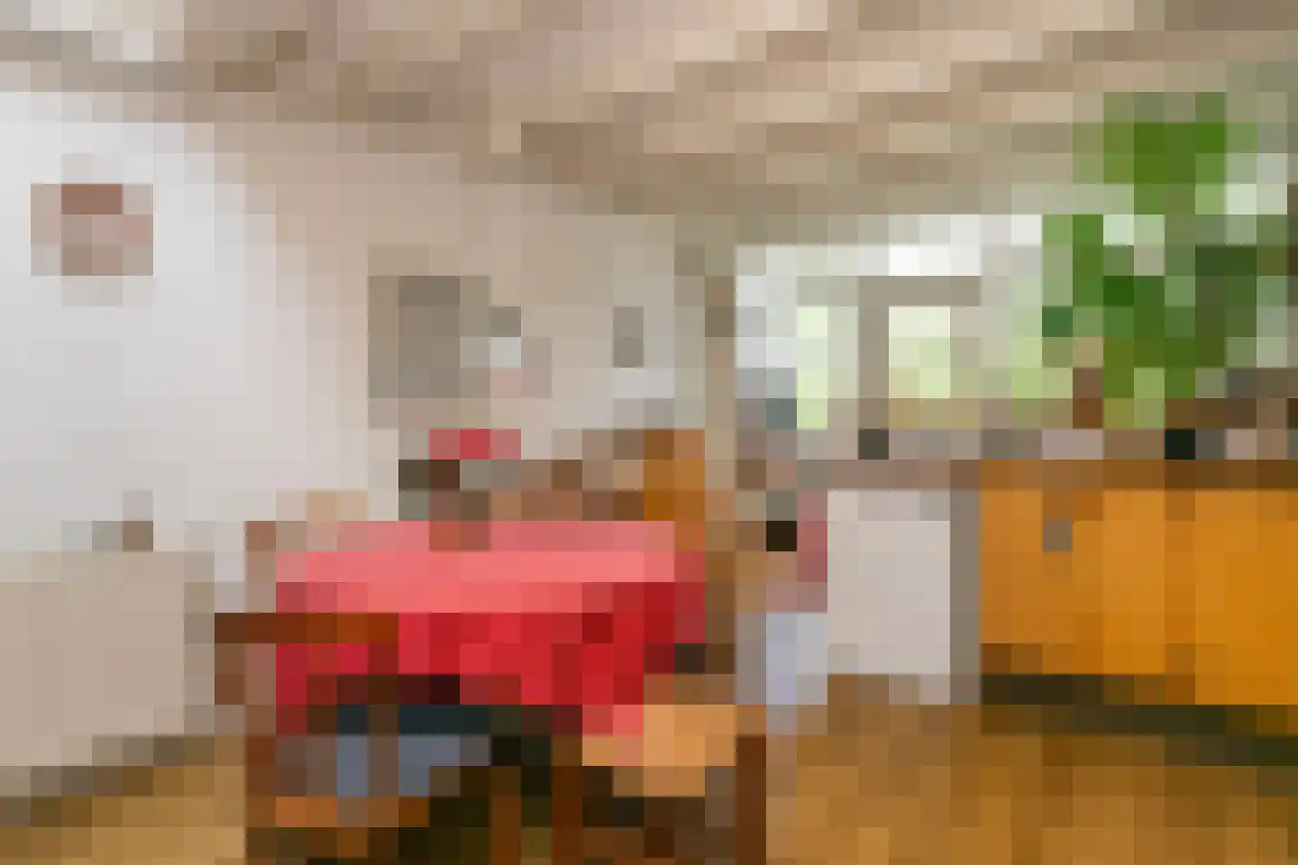 't Zand 5 Utrecht thumbnail 15