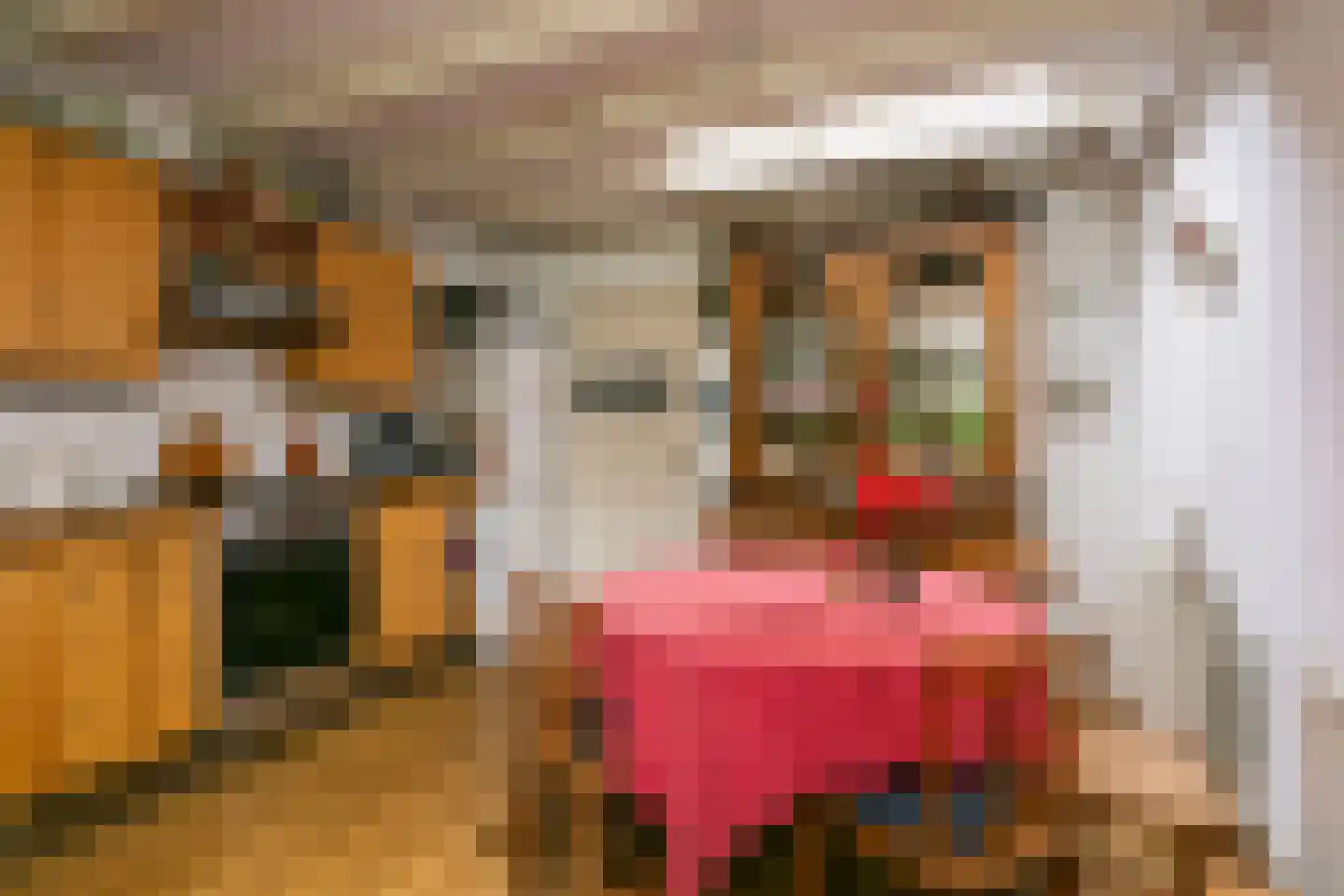 't Zand 5 Utrecht thumbnail 16