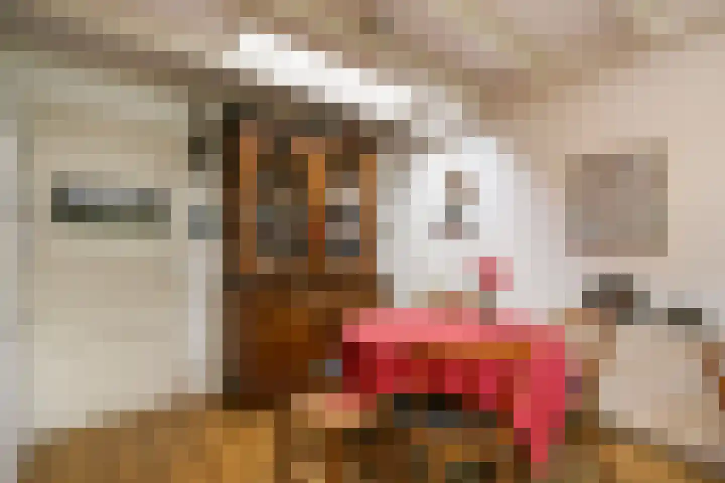 't Zand 5 Utrecht thumbnail 17